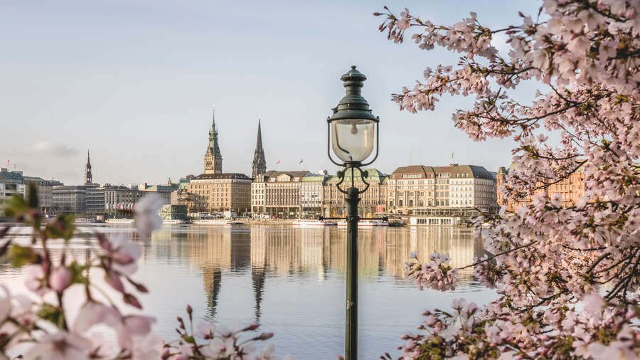 Germany, Hamburg, Inner Alster Lake in spring with street light and cherry blossom branches in foreground