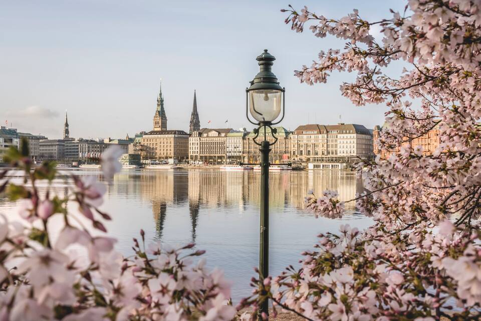 A river with buildings in the background, a street lamp, and cherry blossoms in the foreground.