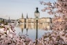 Germany, Hamburg, Inner Alster Lake in spring with street light and cherry blossom branches in foreground