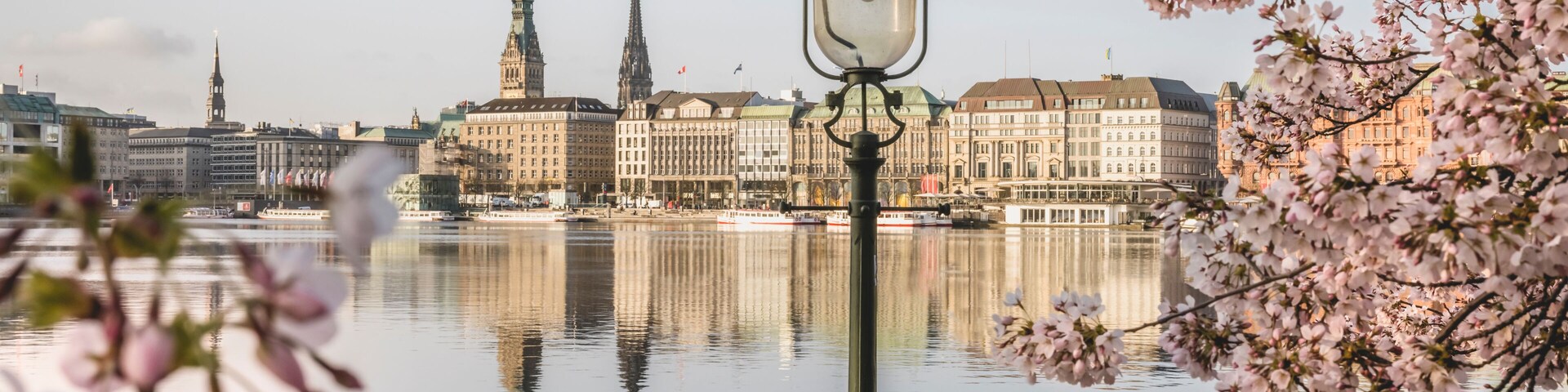 Germany, Hamburg, Inner Alster Lake in spring with street light and cherry blossom branches in foreground