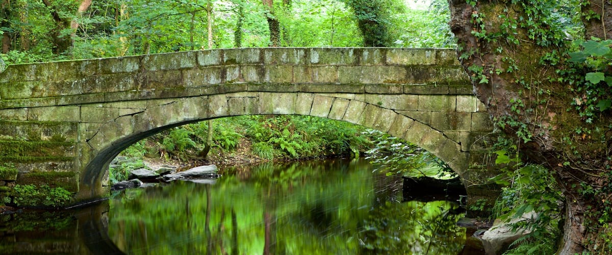 Rivelin Valley Nature Trail showing a garden, a river or creek and a bridge
