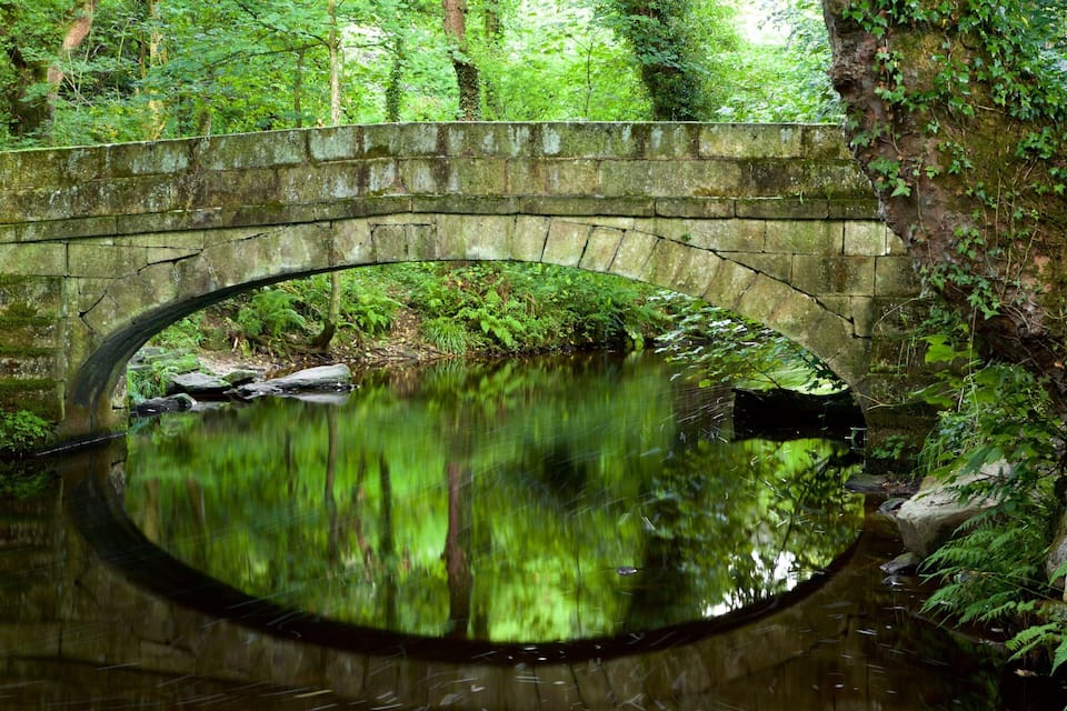 Un puente de piedra sobre un río tranquilo rodeado de abundante vegetación.