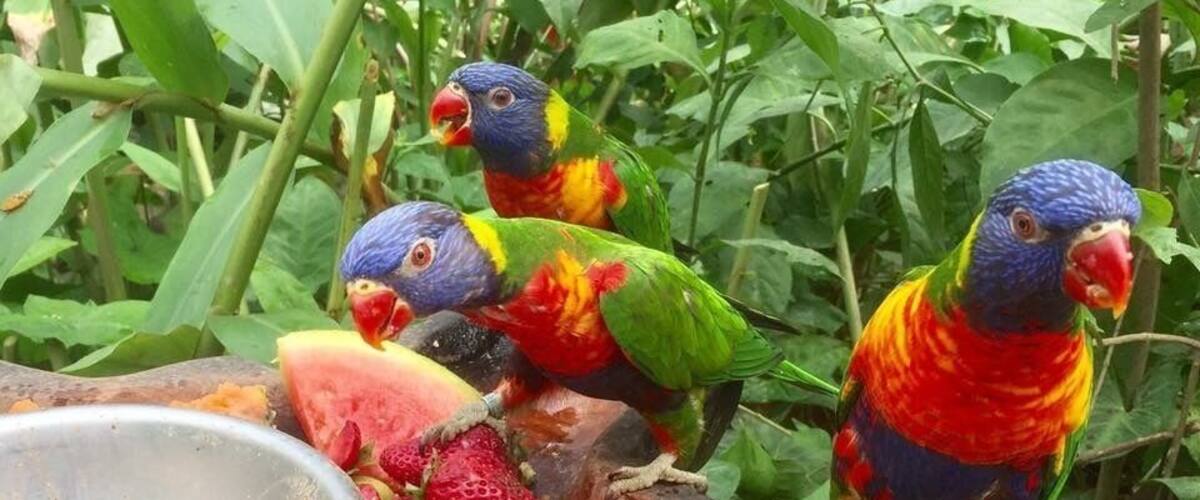 Full of meerkats, prairie dogs and birds of prey this is a great alternative to a zoo and a fab place to bring children. Kids have the opportunity to hold reptiles, feed birds and watch events such as parrot shows.