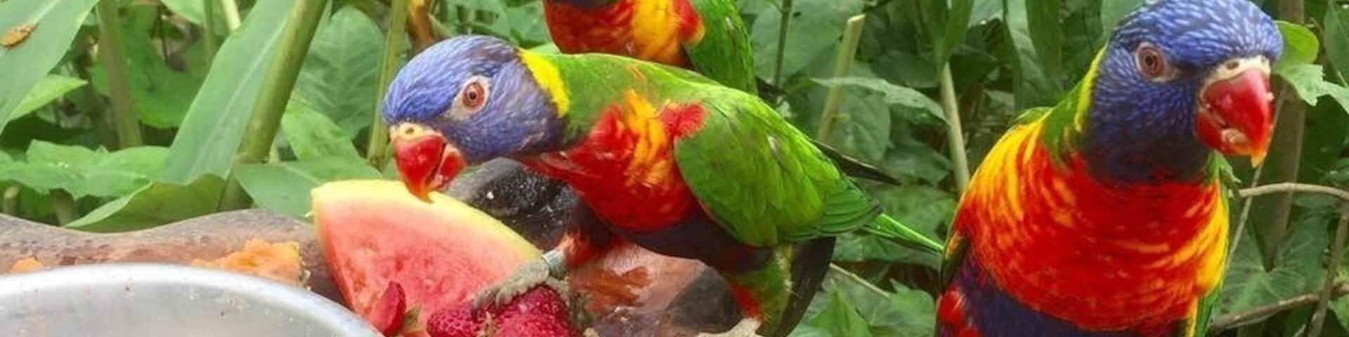 Full of meerkats, prairie dogs and birds of prey this is a great alternative to a zoo and a fab place to bring children. Kids have the opportunity to hold reptiles, feed birds and watch events such as parrot shows.