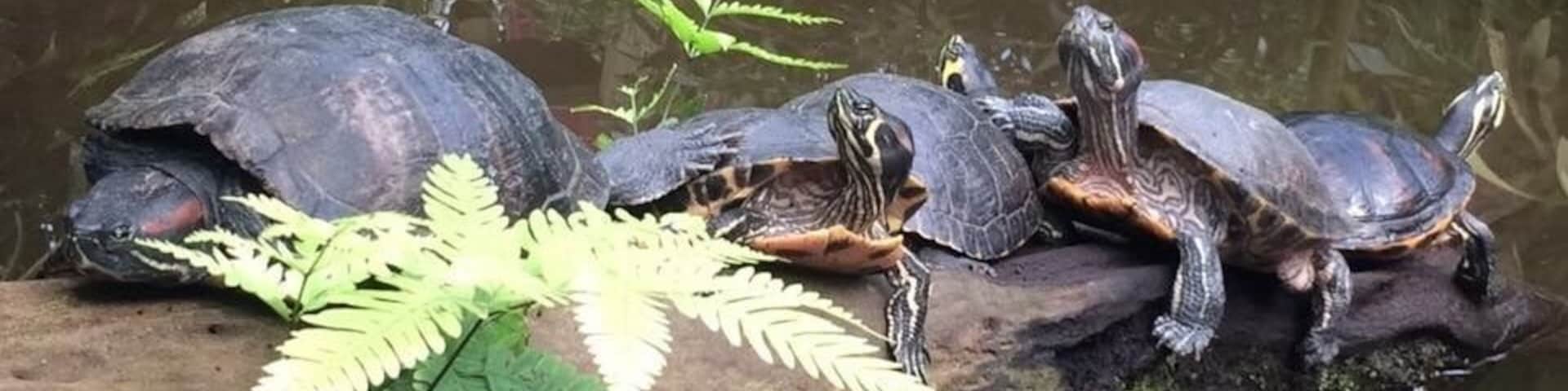 A great day out, indoor and outdoor areas so prefect for the unpredictable English weather!