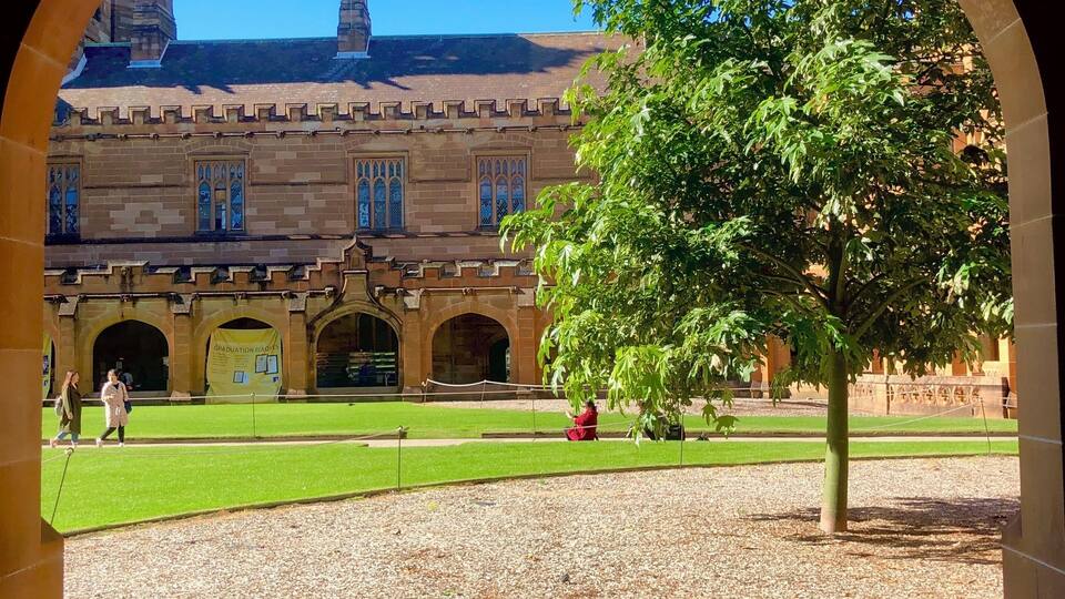 An arched view of a courtyard with a large tree, a grassy lawn, and historic buildings in the background.