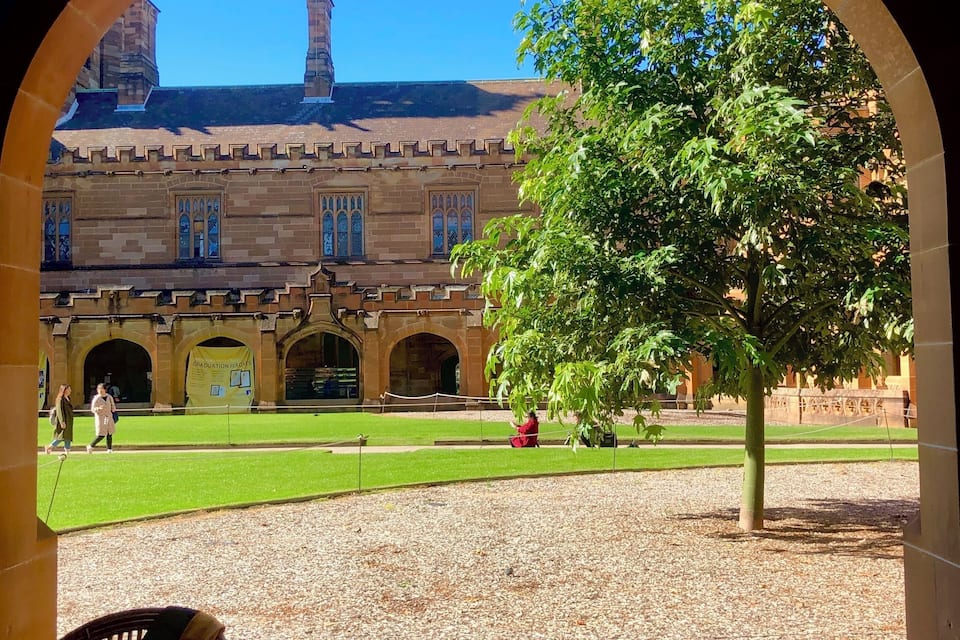 An arched view of a courtyard with a large tree, a grassy lawn, and historic buildings in the background.