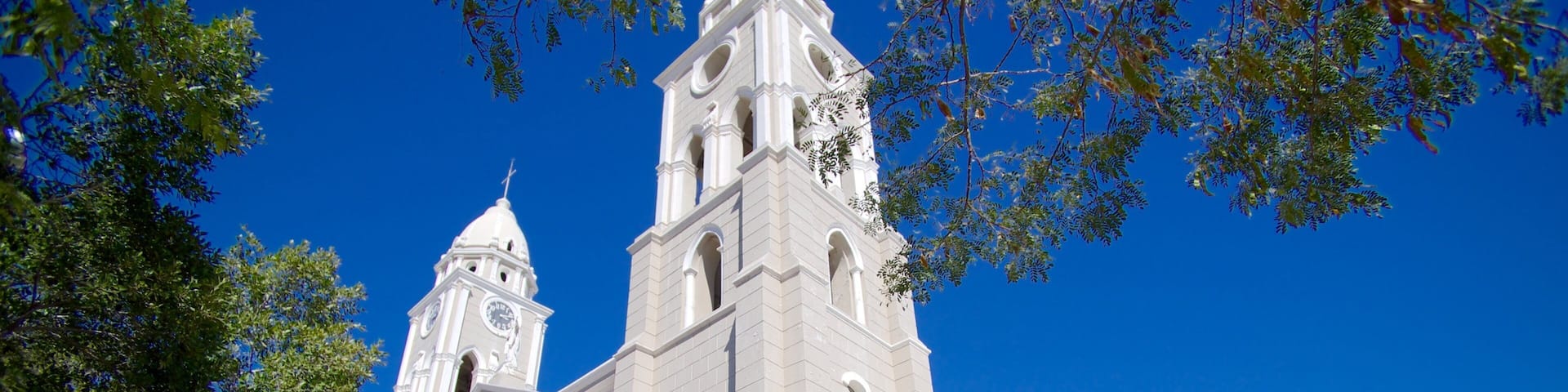 San Fernando Cathedral which includes street scenes and a church or cathedral