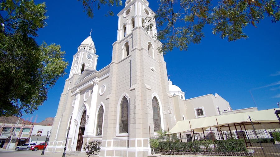 San Fernando Cathedral which includes street scenes and a church or cathedral