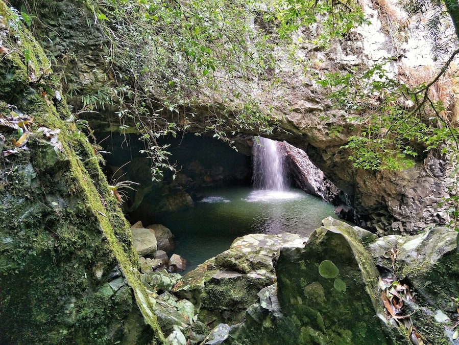 This beautiful waterfall is in the hinterland of the Gold Coast. It is an easy walk through the rainforest & the cave gets Glow worms in it at night time.