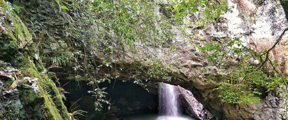 A waterfall cascading into a pool surrounded by moss-covered rocks and dense foliage.