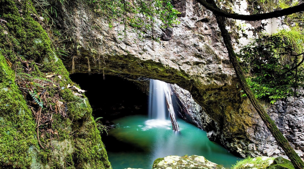 Rarely do we stray too far from the coast, but when we do go inland we make sure its somewhere pretty amazing! After a quick dawn session at the Snapper Rocks we ventured into the hinterland west of the Gold coast through some gorgeous winding roads on route to Natural Arch. A favourite spot from our trip around Australia all those years ago (its been 14 years since that journey…I reckon nearly time for another lap) The Natural Bridge has this amazing waterfall that plunges into a dark cave and is surround by mystical rainforest vegetation. If you haven’t been there, call in next time you are up the coast, its worth it! #roadtrip #waterfalls #nationalpark