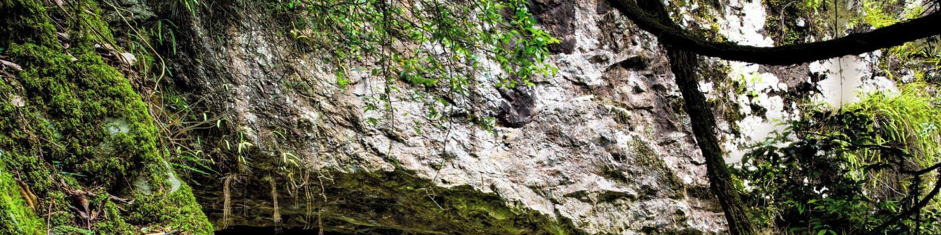 A waterfall flowing through a rocky cave with moss-covered walls and a pool of water at the base.