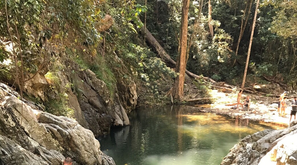 Great swimming hole and a decent height to jump off if you into that. You have to climb down the embankment and walk up the creek to find this one