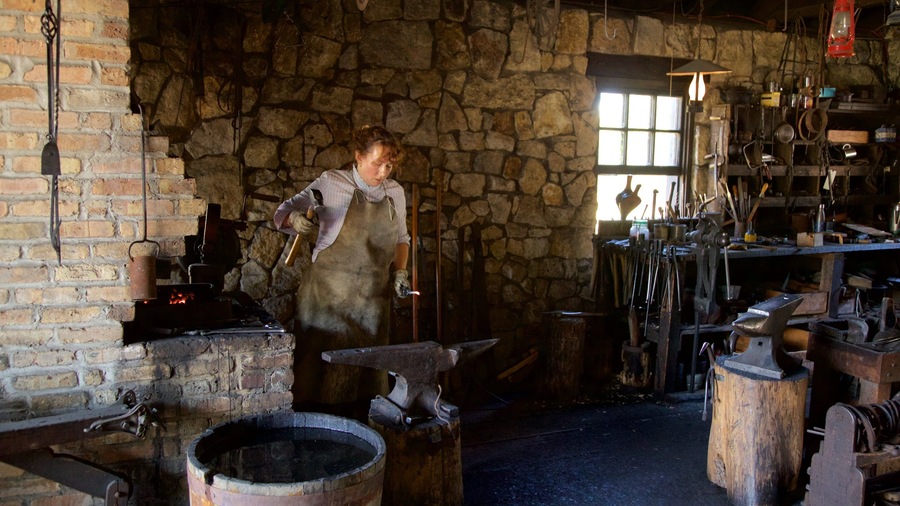 Naper Settlement Museum showing interior views as well as an individual female