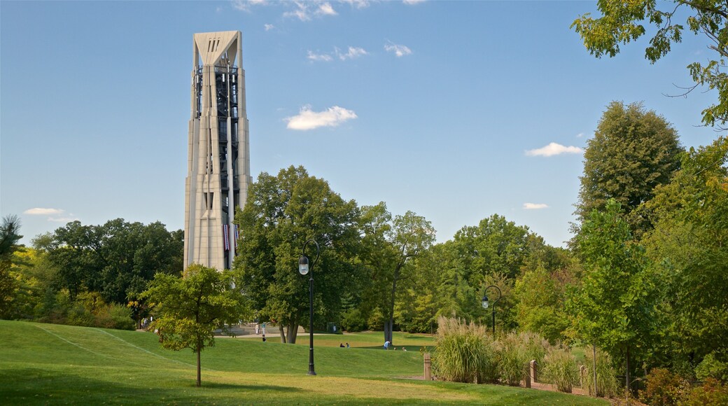 Moser Tower and Millennium Carillon montrant parc