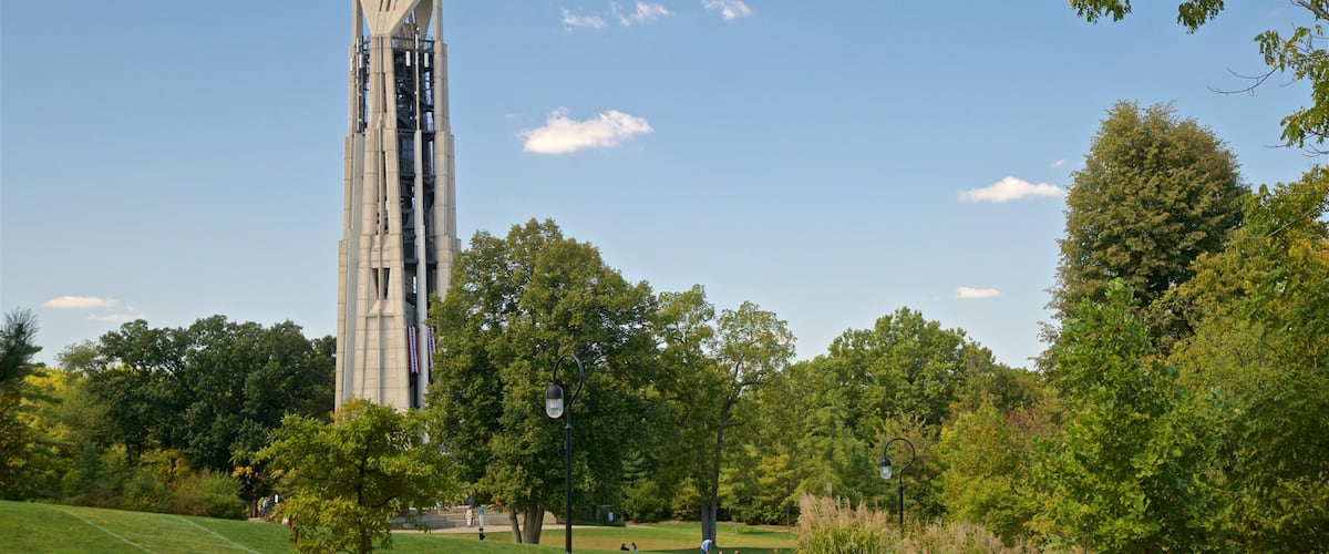 Moser Tower and Millennium Carillon which includes a park
