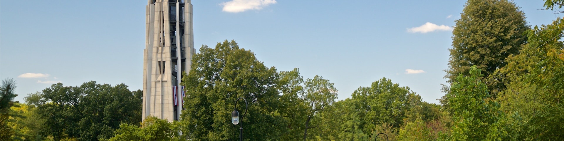 Moser Tower and Millennium Carillon which includes a park