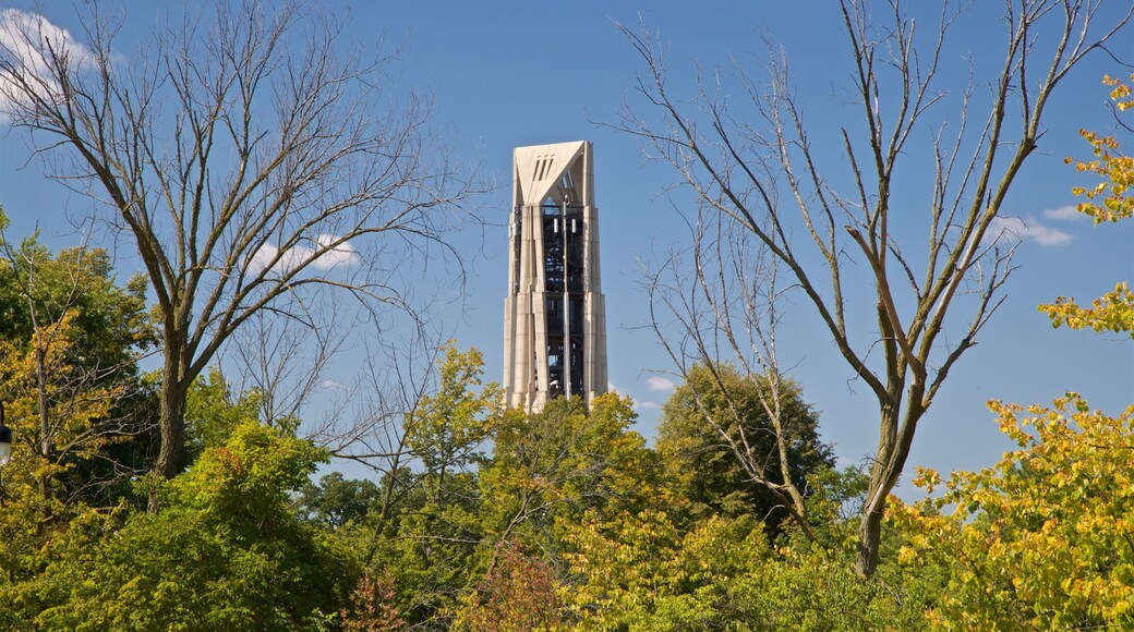 Moser Tower and Millennium Carillon montrant building