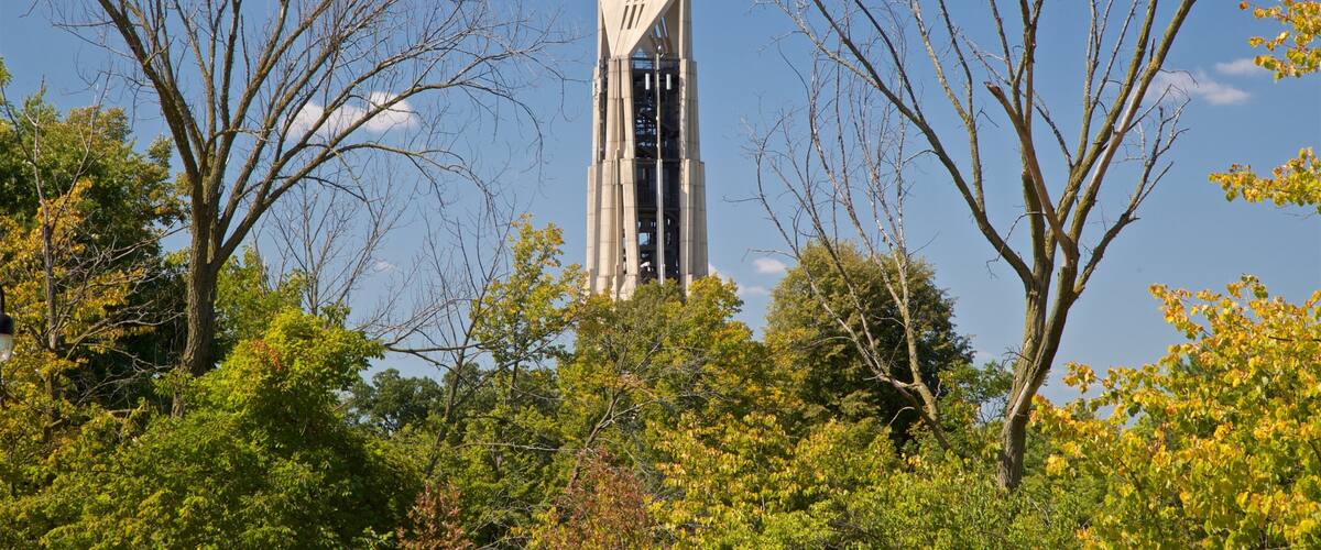 Moser Tower and Millennium Carillon which includes a high-rise building