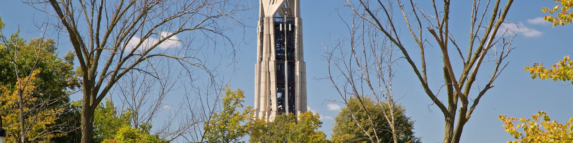 Moser Tower and Millennium Carillon which includes a high rise building