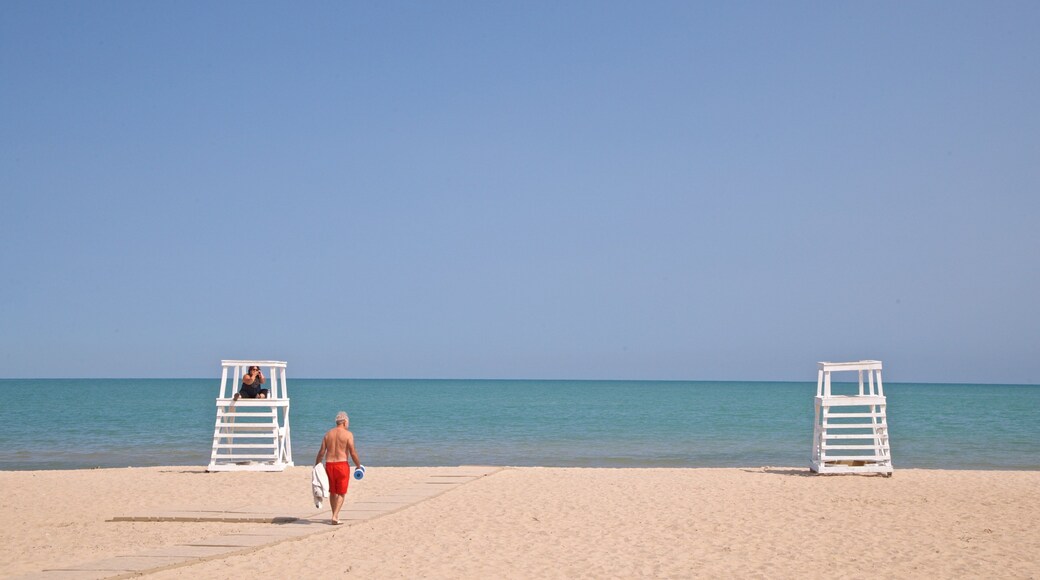 Grosse Point Lighthouse featuring a sandy beach and general coastal views as well as an individual male