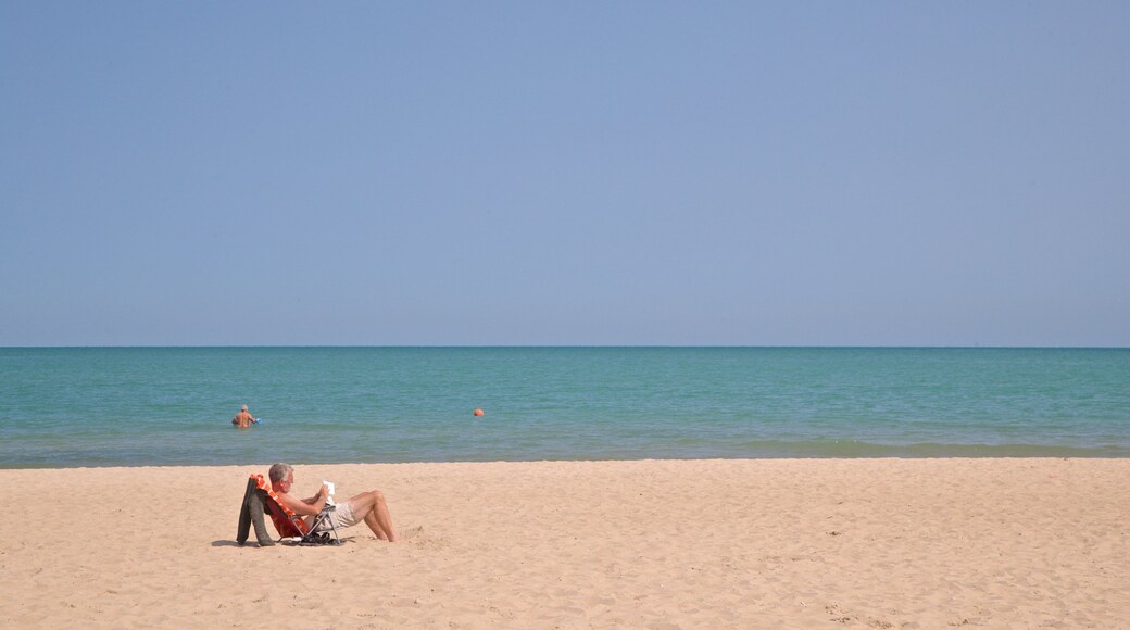Grosse Point Lighthouse showing a sandy beach and general coastal views as well as an individual male