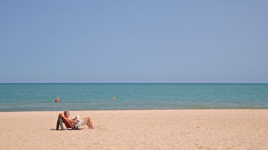 Faro de Grosse Point ofreciendo vistas generales de la costa y una playa de arena y también un hombre