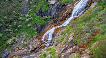 It was a rather dull early spring day. I missed the heavy rain that fell last week. The brook feeding this fall was quite unphotogenic with metres of vegetation on either side flattend by recent turbulant waters.
Like most waterfalls, these falls are at there very best after the heavy rains in Winter