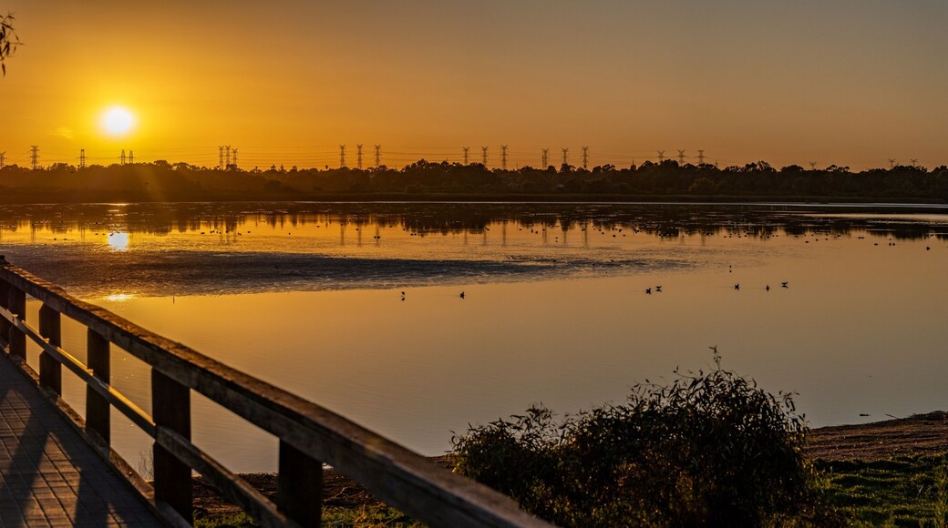 Sunrise over Bibra Lake, Perth Western Australia