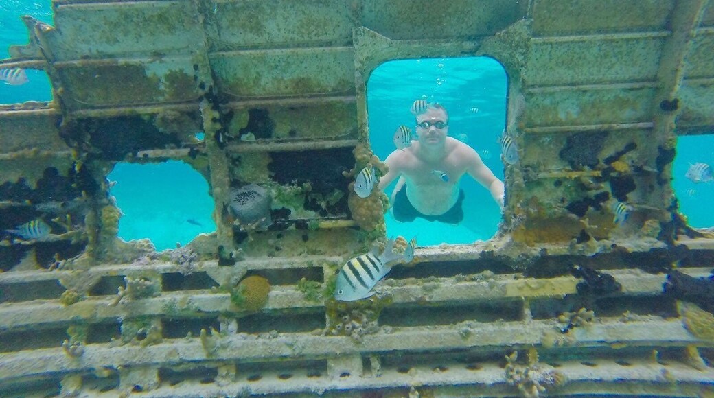 Plane wreck diving in The #Bahamas. #EndlessSummer