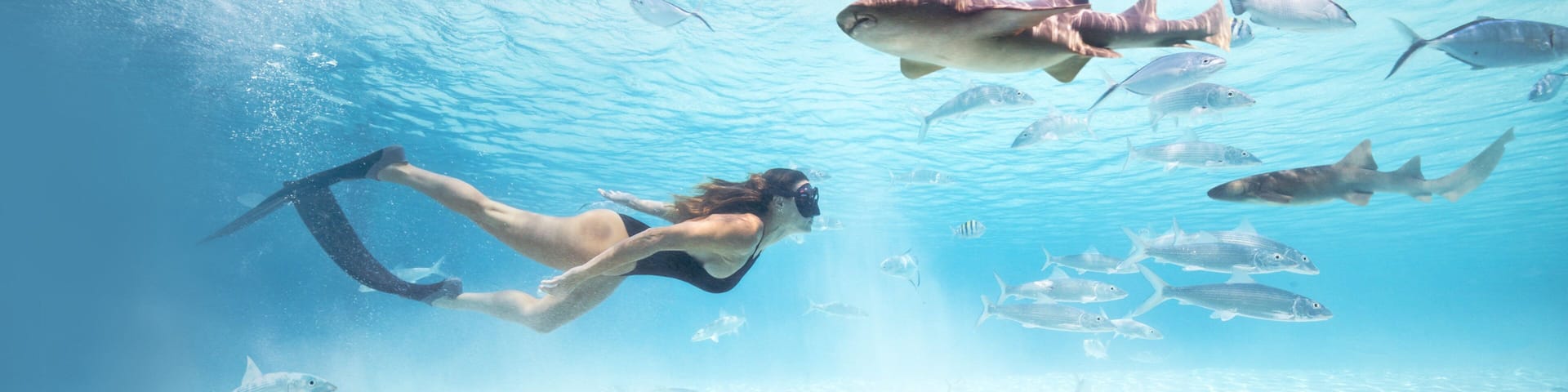 Exuma which includes snorkeling, tropical scenes and general coastal views