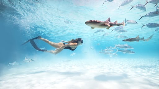 Exuma which includes snorkeling, tropical scenes and general coastal views