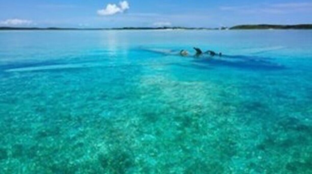 The beautiful #Exuma islands in The #Bahamas. #planewreck diving #EndlessSummer