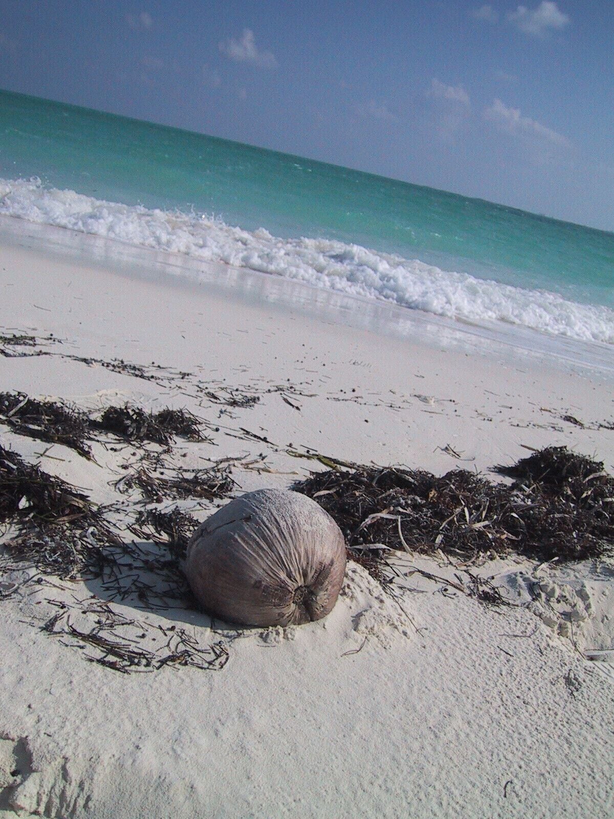 Treasure Cay has spectacular Scuba diving and snorkeling. The water is warm and beautiful turquoise.
#LifeAtExpedia