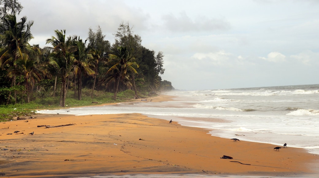 Tropical beach with palm trees and waves. Thrissur Bech , Kerala , Tamil Nadu