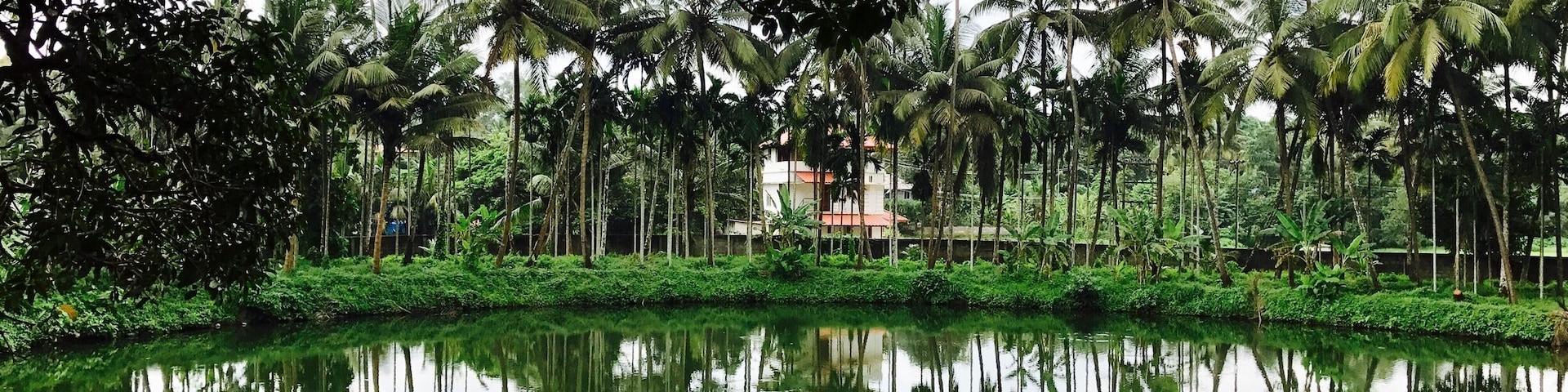 A beautiful pond at Varikkasheri Mana, Kerala, India