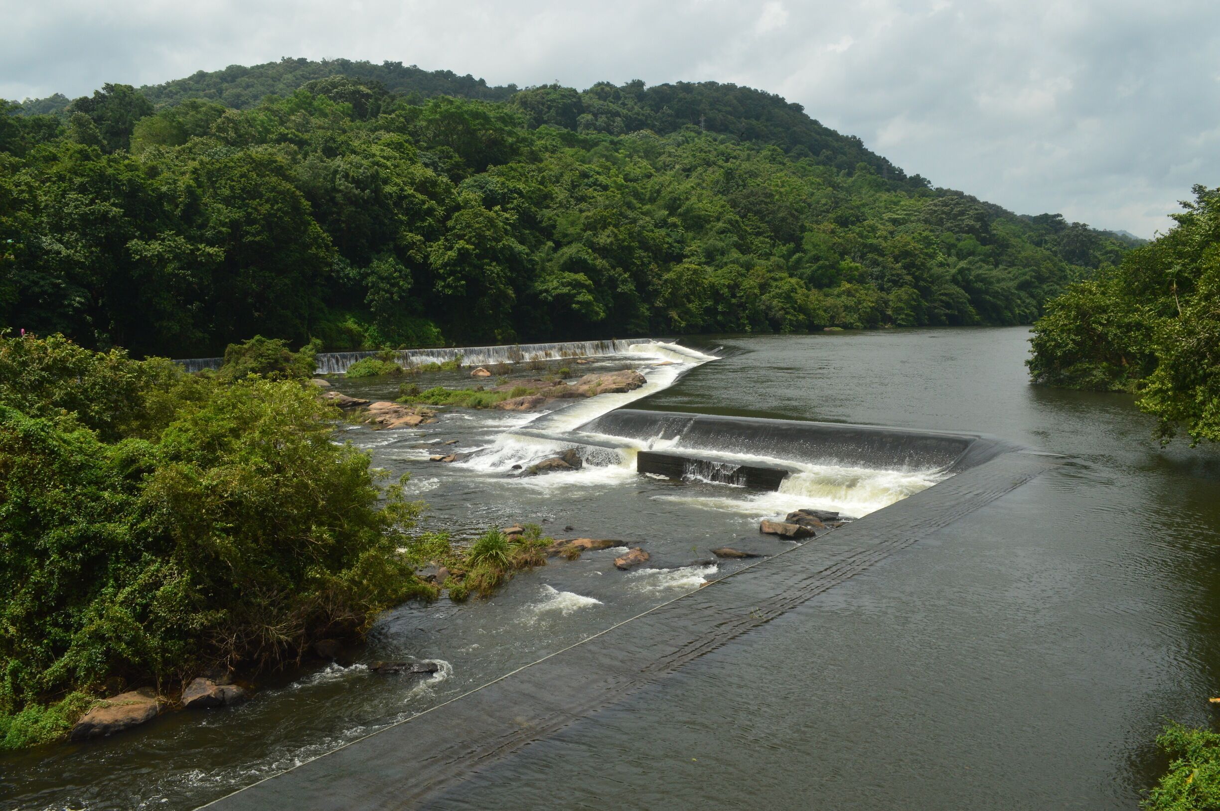 View from the hanging bridge ❤️
Just loved the place and you fall in love with nature