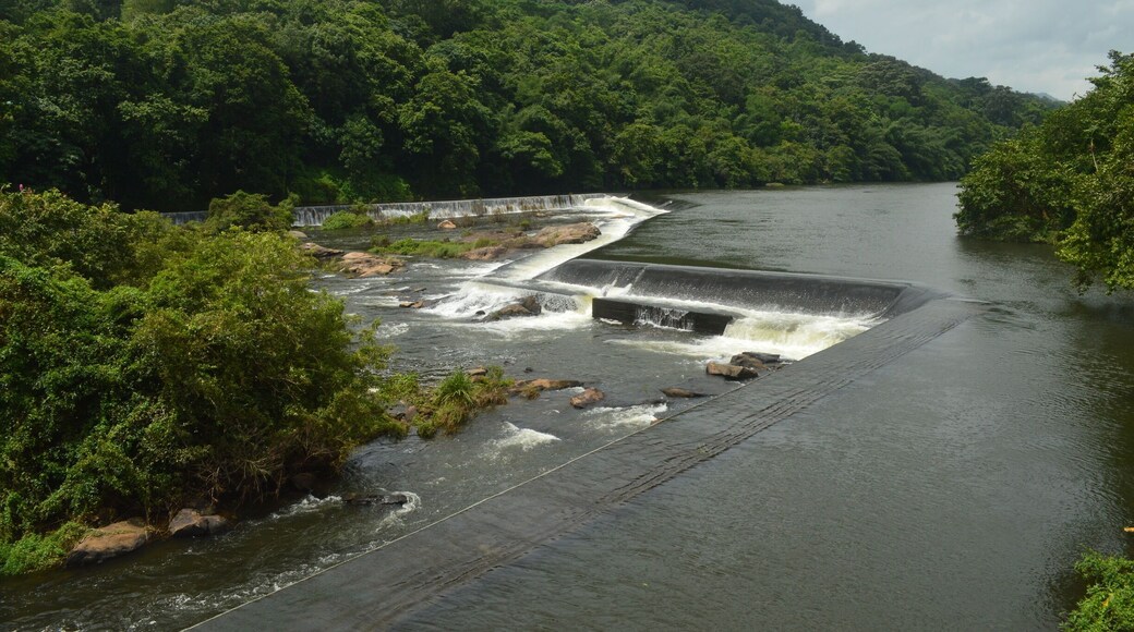 View from the hanging bridge ❤️
Just loved the place and you fall in love with nature