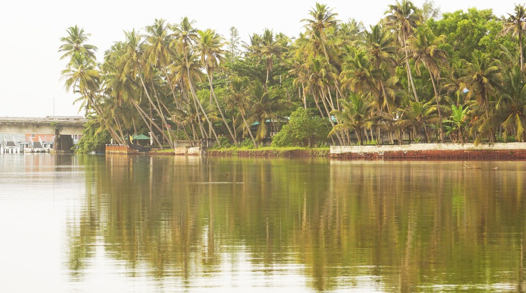 Kappil beach is a scenic beach near varkala and in the state of kerala