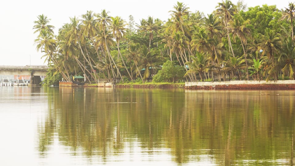 A calm river with reflections of palm trees and a bridge in the background.