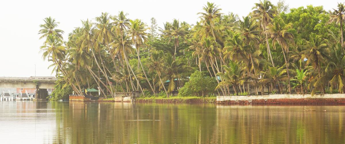 A calm river with reflections of palm trees and a bridge in the background.