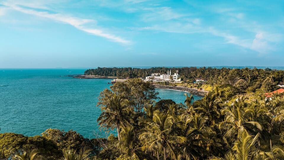 A coastal landscape with a large body of water, dense palm trees, and a prominent white building with a tower.