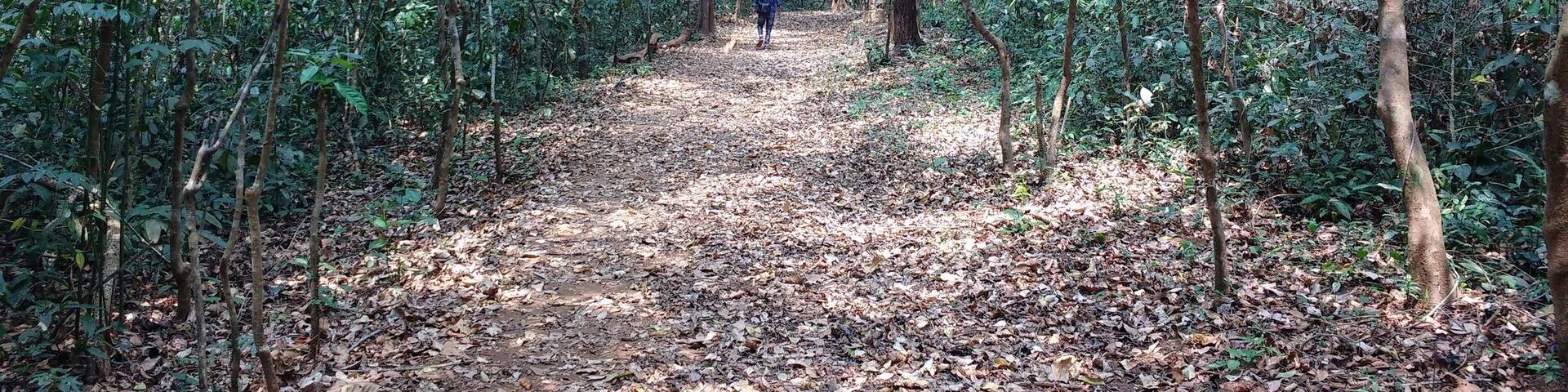 Relax , enjoy with Nature ..