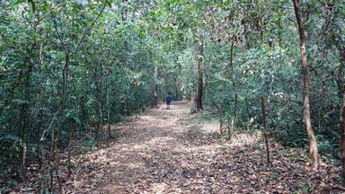 Relax , enjoy with Nature ..