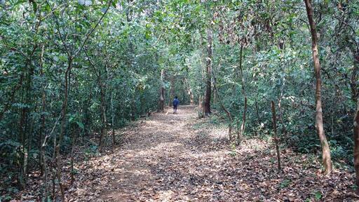 Relax , enjoy with Nature ..