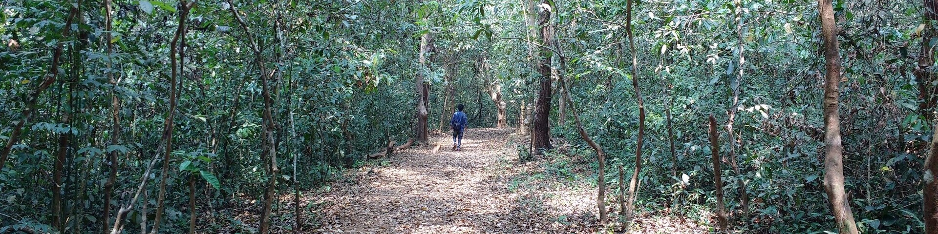 Relax , enjoy with Nature ..