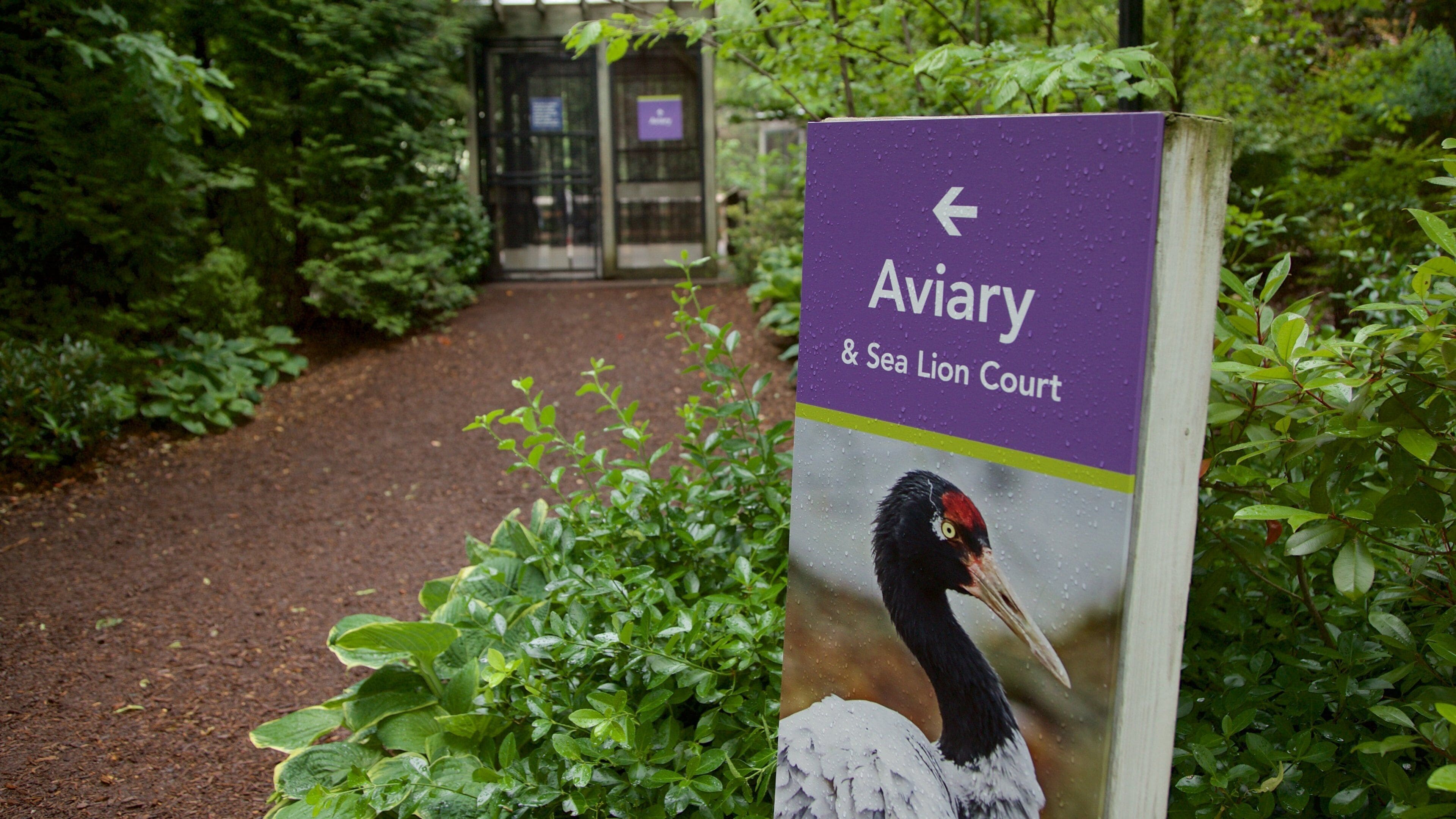 A sign for Aviary & Sea Lion Court with a bird illustration.