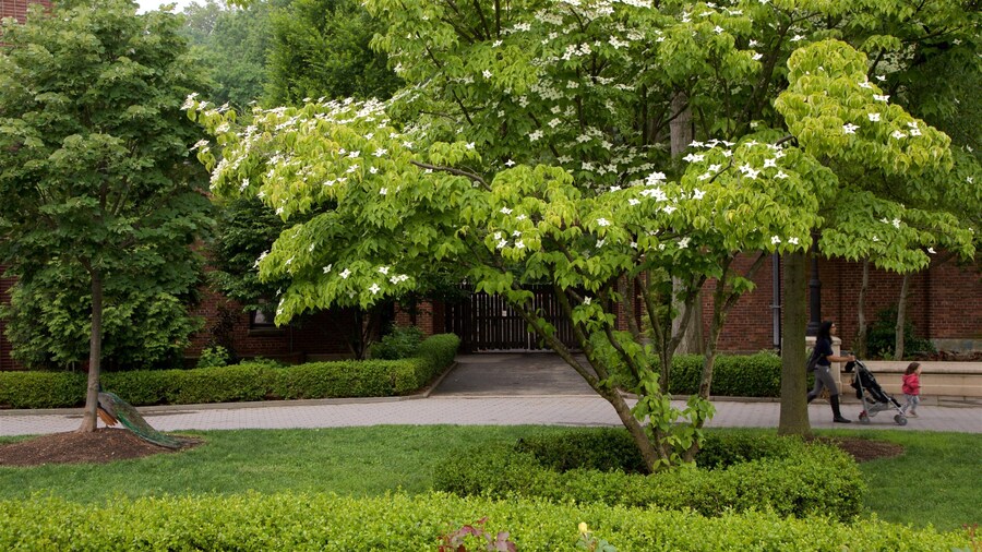 Parque Zoológico de Prospect Park ofreciendo un jardín y también una familia