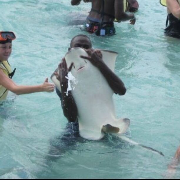 It was fun being able to swim and pet the stingrays. 